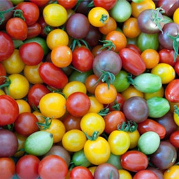 Tomates cerises mix +/- 500 gr